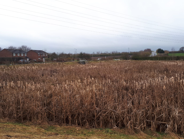 Sustainable drainage system maintenance